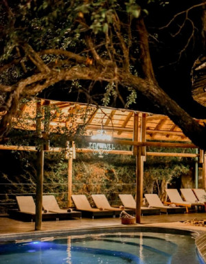  Vacation Hub International | Moditlo Private Game Reserve Room