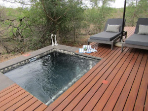  Vacation Hub International | Raptor Retreat Game Lodge Room
