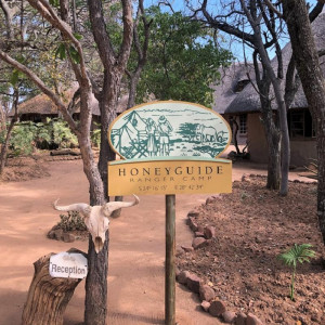  Vacation Hub International | Honeyguide Ranger Camp Room