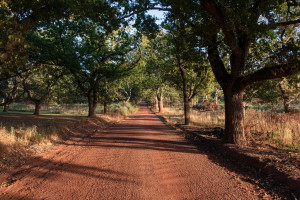  Vacation Hub International | Oak Lane Cottages Room