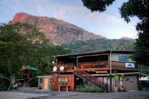  Vacation Hub International | The Spotted Grunter Resort Room