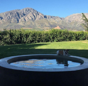  Vacation Hub International | Seven Oaks Vineyard Cottages Room