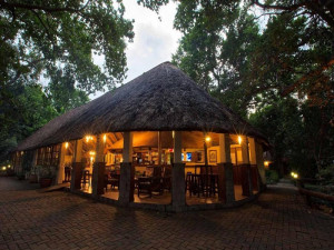  Vacation Hub International | Island Safari Lodge Room