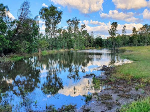  Vacation Hub International | Little Forest Farm Room