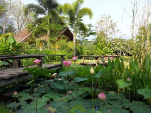  Vacation Hub International | Pura Vida Pai Resort Room