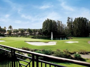 Vacation Hub International | Saddlebrook Golf Resort & Spa Tampa North-Wesley Chapel Room