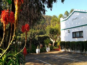  Vacation Hub International | Forestview guesthouse and B&B Room
