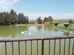  Vacation Hub International | The Gaia House Magaliesburg Room