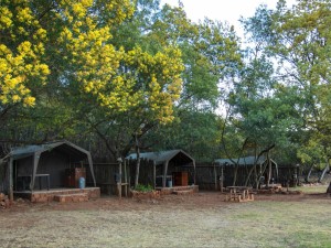  Vacation Hub International | Tranquilitas Adventure Farm Room
