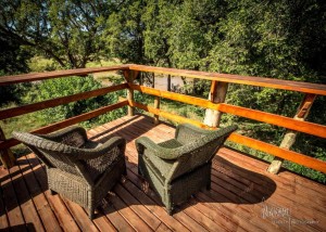  Vacation Hub International | Rio Dos Elefantes River Camp Room