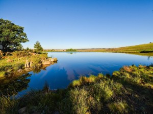  Vacation Hub International | Spring Valley Farm Room