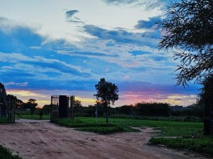  Vacation Hub International | Unique Overnight Polokwane Room