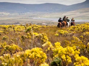  Vacation Hub International | Farm 215 - Private Nature Reserve & Accommodation Room