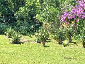  Vacation Hub International | Southbroom Smartstays Room